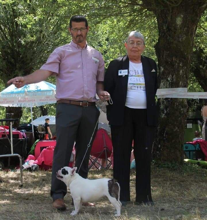 Hanka  meilleur jeune meilleur de race