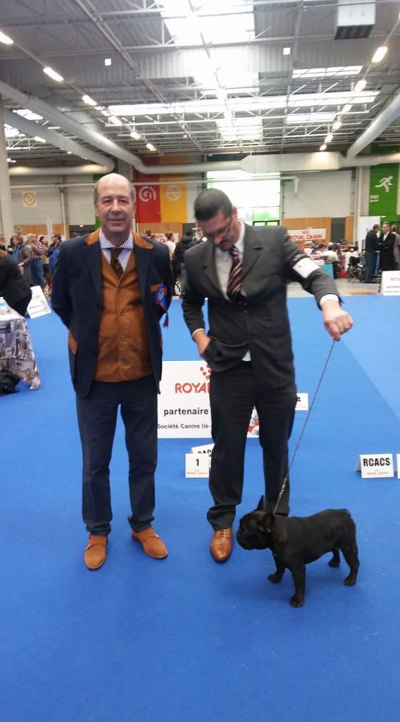 PARIS DOG SHOW 2018